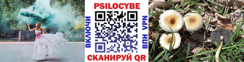 Псилоцибиновые грибы MAGIC MUSHROOMS  наркота  Усолье 